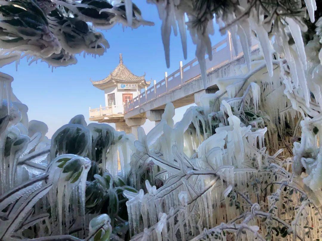 莫雷岛逃脱