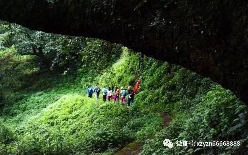 倒车入库一秒都不能停吗