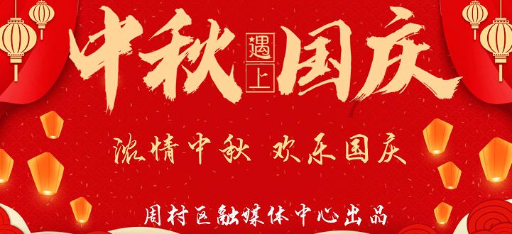 植物大战僵尸19