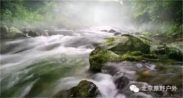 小矮怪挖金矿
