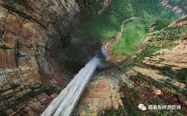 沪江开心词场